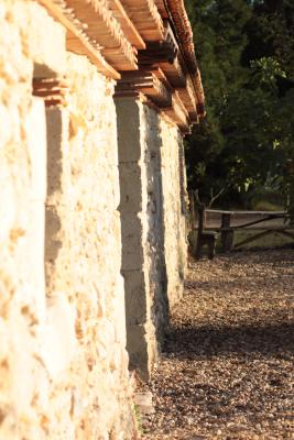 Image redimension&eacute;e IMG_0423.JPG 