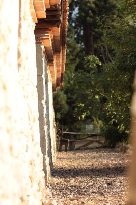 Image redimension&eacute;e IMG_0424.JPG 