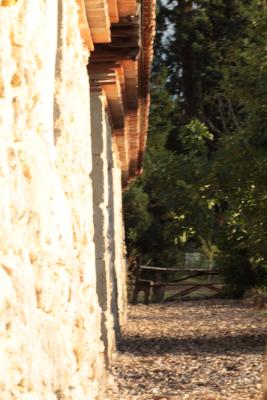 Image redimension&eacute;e IMG_0425.JPG 