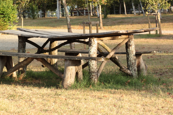 Image redimension&eacute;e IMG_0427.JPG 