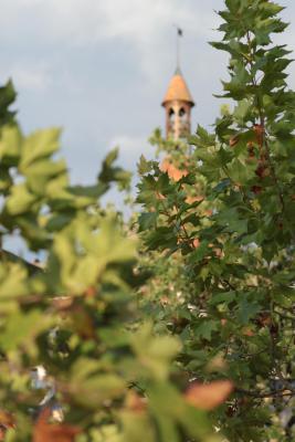 Image redimension&eacute;e IMG_0431.JPG 