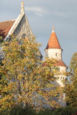 Image redimension&eacute;e IMG_0432.JPG 