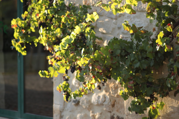 Image redimension&eacute;e IMG_0438.JPG 