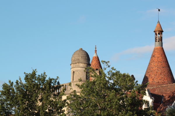 Image redimension&eacute;e IMG_0450.JPG 