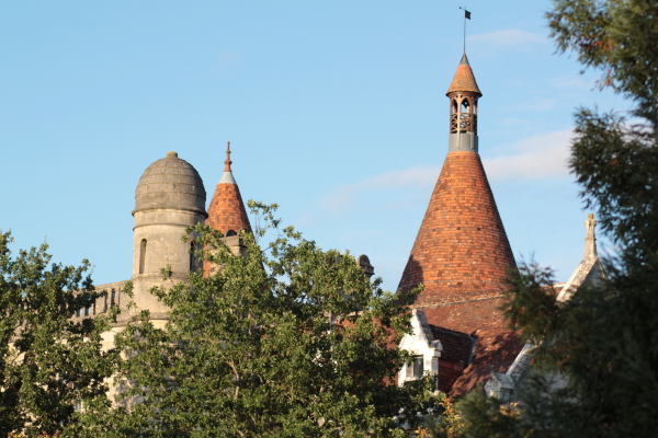 Image redimension&eacute;e IMG_0451.JPG 