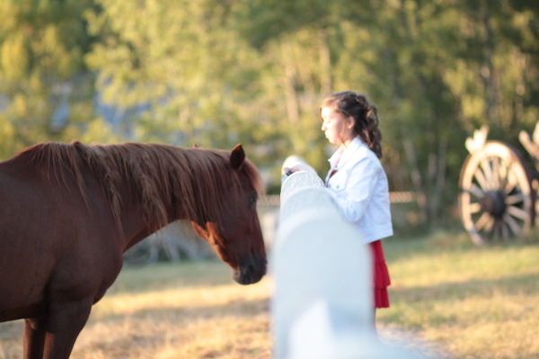 Image redimension&eacute;e IMG_0458.JPG 