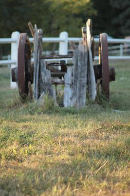 Image redimension&eacute;e IMG_0468.JPG 