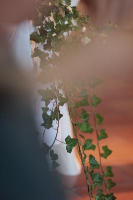 Image redimension&eacute;e IMG_0528.JPG 