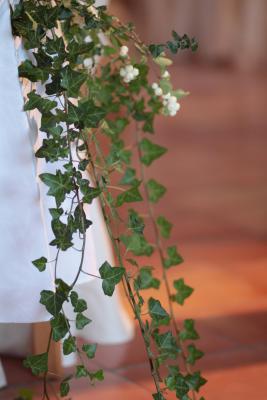 Image redimension&eacute;e IMG_0529.JPG 