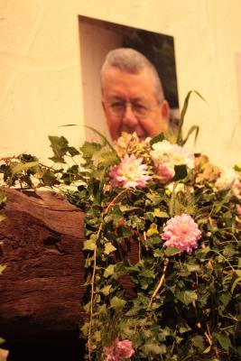 Image redimension&eacute;e IMG_0541.JPG 