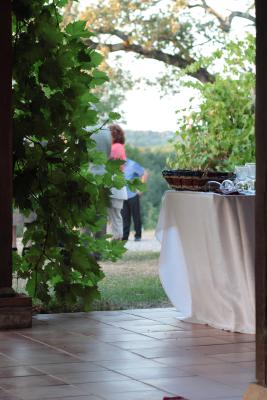 Image redimension&eacute;e IMG_0545.JPG 