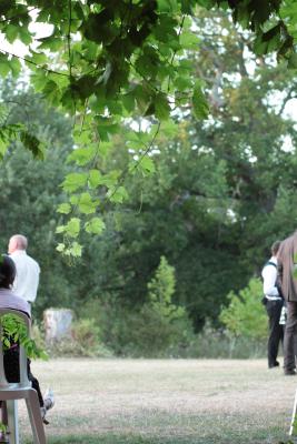 Image redimension&eacute;e IMG_0553.JPG 