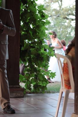 Image redimension&eacute;e IMG_0570.JPG 