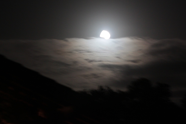 Image redimension&eacute;e IMG_0655.JPG 