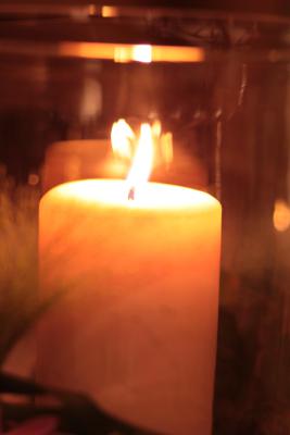 Image redimension&eacute;e IMG_0711.JPG 