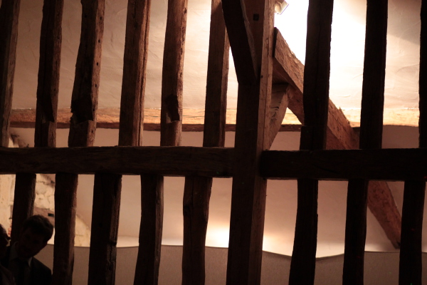 Image redimension&eacute;e IMG_0732.JPG 