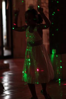 Image redimension&eacute;e IMG_0736.JPG 