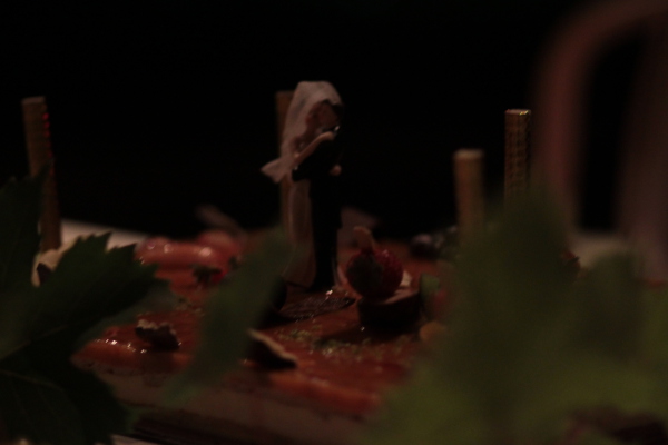 Image redimension&eacute;e IMG_0804.JPG 