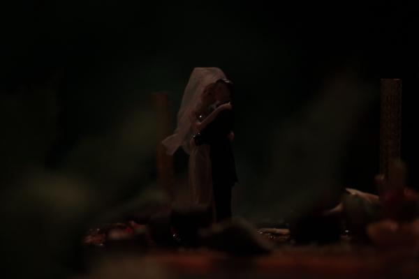 Image redimension&eacute;e IMG_0806.JPG 