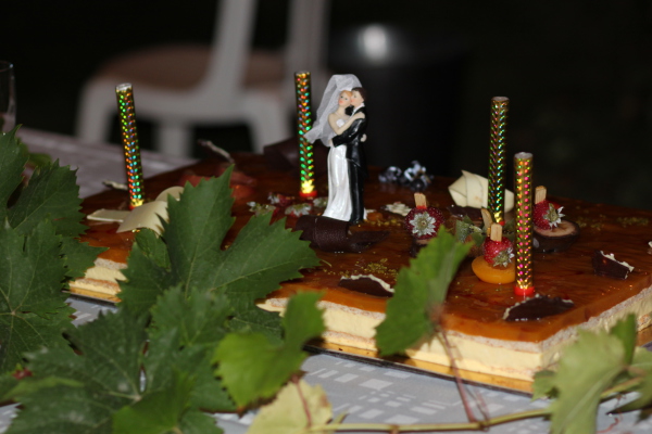 Image redimension&eacute;e IMG_0808.JPG 