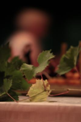 Image redimension&eacute;e IMG_0816.JPG 