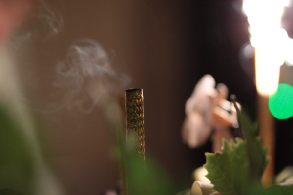 Image redimension&eacute;e IMG_0822.JPG 