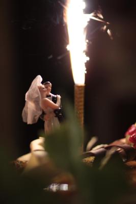 Image redimension&eacute;e IMG_0823.JPG 