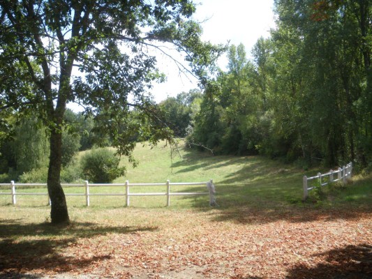 Image redimension&eacute;e MARIAGE 211.JPG 