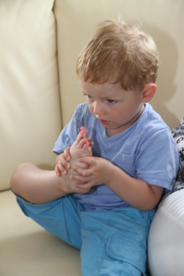 Image redimension&eacute;e IMG_7370.JPG 