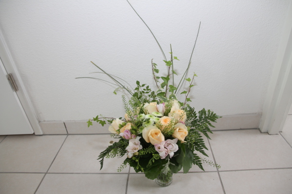 Image redimension&eacute;e IMG_7387.JPG 