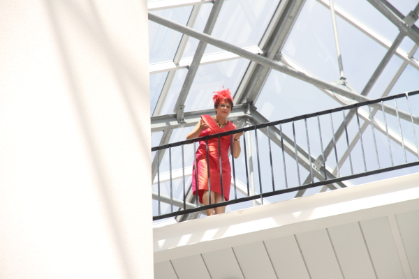 Image redimension&eacute;e IMG_7479.JPG 