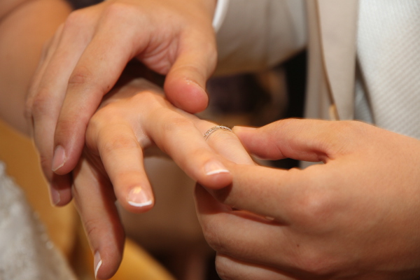 Image redimension&eacute;e IMG_7562.JPG 