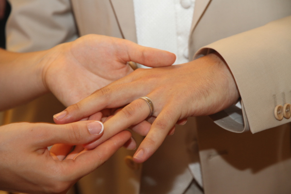 Image redimension&eacute;e IMG_7565.JPG 