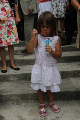 Image redimension&eacute;e IMG_7607.JPG 