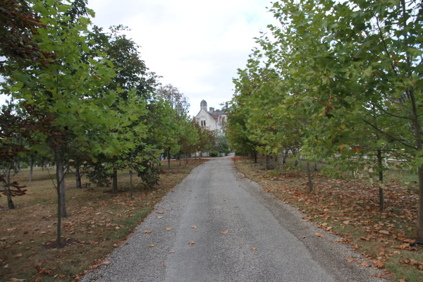 Image redimension&eacute;e IMG_7687.JPG 