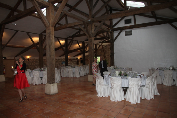 Image redimension&eacute;e IMG_7704.JPG 