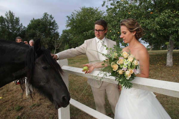 Image redimension&eacute;e IMG_7778.JPG 