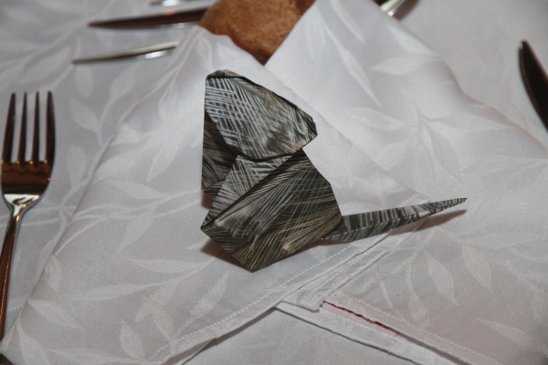 Image redimension&eacute;e IMG_7877.JPG 