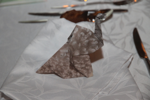 Image redimension&eacute;e IMG_7879.JPG 