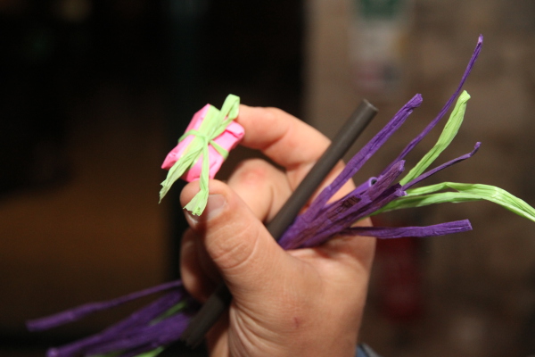 Image redimension&eacute;e IMG_7933.JPG 