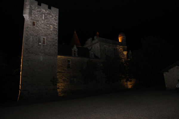 Image redimension&eacute;e IMG_7935.JPG 