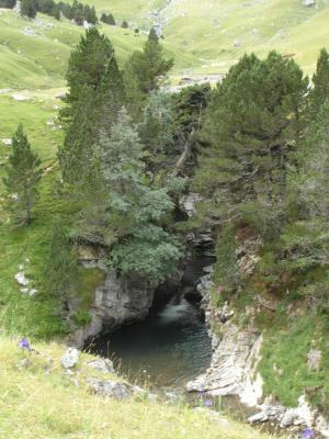 Image redimension&eacute;e SAM_0649.JPG 