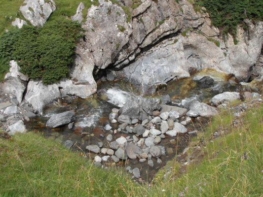 Image redimension&eacute;e SAM_0651.JPG 