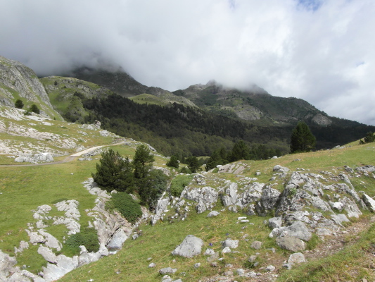 Image redimension&eacute;e SAM_0653.JPG 