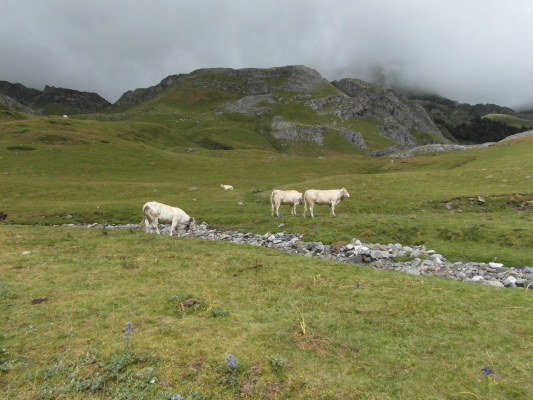 Image redimension&eacute;e SAM_0659.JPG 