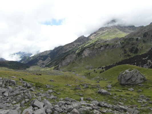 Image redimension&eacute;e SAM_0671.JPG 