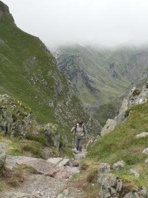 Image redimension&eacute;e SAM_0689.JPG 