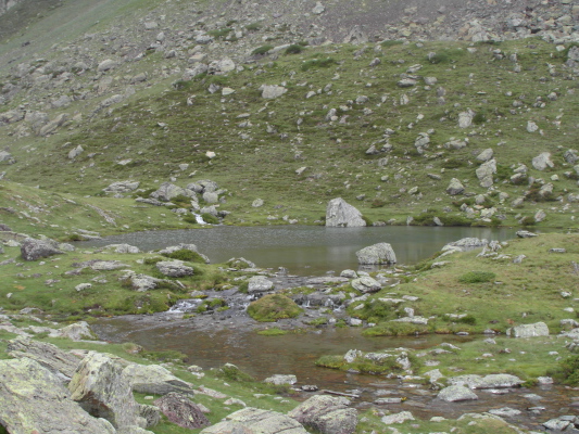 Image redimension&eacute;e SAM_0696.JPG 