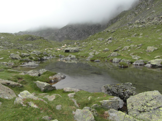 Image redimension&eacute;e SAM_0700.JPG 