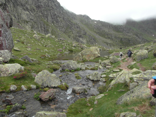 Image redimension&eacute;e SAM_0706.JPG 